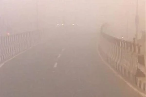 Đâm vào xe tải vì sương mù, 12 giáo viên thiệt mạng