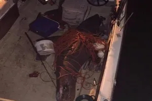 Ông lão đánh cá và con cá....mập nhảy lên thuyền 