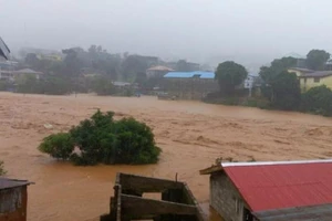 Sierra Leone: Bùn lở, hơn 200 người chết