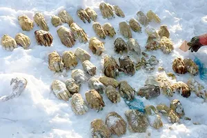 Phát hiện bao tải chứa 54 bàn tay