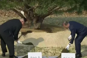 Ông Kim trở lại đất Hàn Quốc, cùng trồng cây với ông Moon