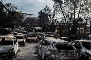 Cháy rừng 87 người chết: Sao lại chết nhiều thế?