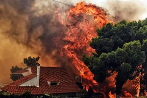 Họ để mặc chúng tôi bị thiêu như chuột!