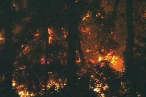 Cướp máy bay tự sát ở Mỹ