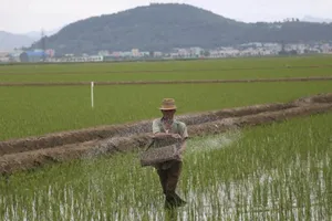 Ông Kim Jong-un quyết ‘lột xác’ kinh tế Triều Tiên