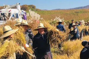 Ông Trump ủng hộ Hàn Quốc cứu trợ lương thực cho Triều Tiên