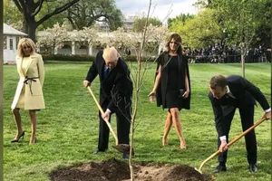 Cây sồi ông Macron tặng ông Trump 'chết trong khi kiểm dịch'