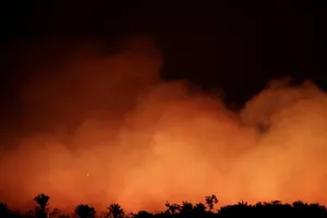 Đau xót cảnh rừng Amazon trước đây và đang bị lửa nuốt dần