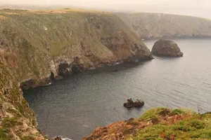 Cháy tàu ở California, 34 người chết