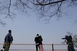 Các cặp đôi cùng nhau ngắm cảnh trong khi vẫn thực hiện giãn cách xã hội, trên núi Nam San ở Seoul (Hàn Quốc) ngày 7-4. Ảnh: REUTERS