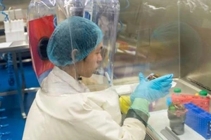 Viện Virus học Vũ Hán có phòng thí nghiệm quản lý, nghiên cứu các mầm bệnh cấp độ 4 (P4) – các mầm bệnh nguy hiểm nhất. Ảnh: AFP