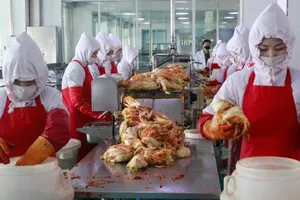 Công nhân làm việc tại nhà máy kim chi Ryugyong ở Bình Nhưỡng ngày 24-4. Ảnh: AP