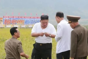 Triều Tiên tung bộ ảnh ông Kim khỏe mạnh đi thăm vùng lũ