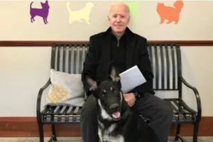 Ông Biden bị nứt xương bàn chân, sẽ mang giày tập đi vài tuần