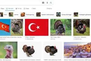 Thổ Nhĩ Kỳ nỗ lực đổi tên từ Turkey thành 'Türkiye'