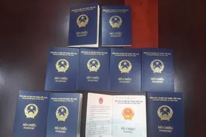 Đức tạm chưa cấp thị thực mẫu hộ chiếu bìa tím xanh của Việt Nam vì thiếu nơi sinh 