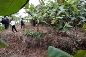 Khám nghiệm tử thi, phát hiện thêm 2 thi thể 