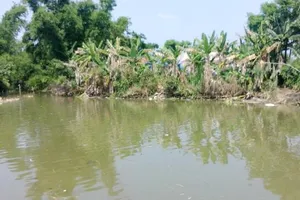 Hai bà cháu xin ngủ nhờ tại chùa, sau đó chết dưới ao 