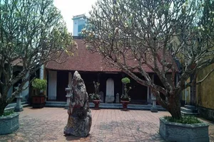 Người đi chùa tố bị sư trụ trì doạ... thả chó cắn nát mặt