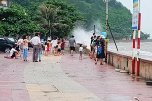 Hình ảnh du khách đổ xô ngắm sóng biển dâng cao ở Đồ Sơn