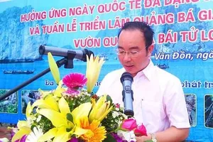 Yêu cầu thi hành kỷ luật Phó chủ tịch huyện Vân Đồn