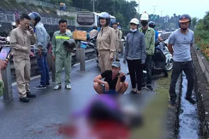 Bắt nghi can sát hại phụ nữ trên cầu Bãi Cháy