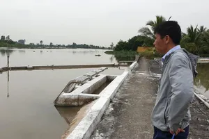 Dân kêu nước máy mặn, doanh nghiệp cấp nước nói vẫn đảm bảo