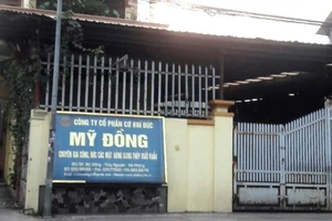 1 doanh nghiệp Hải Phòng nghi ăn cắp lượng điện gần 25 tỉ đồng