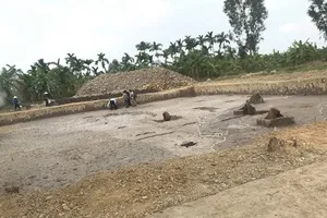 Phát hiện bãi cọc Bạch Đằng thời Trần tại Hải Phòng