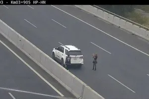 Phạt nặng nữ tài xế dừng xe trên đường cao tốc để chụp ảnh