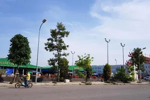 Xem xét kỷ luật nguyên Chủ tịch UBND quận Hồng Bàng