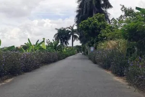 1 cán bộ đô thị phường bị chém sau khi rời trụ sở