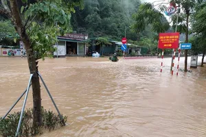 Mưa lớn gây ngập cục bộ nhiều nơi ở Quảng Ninh 