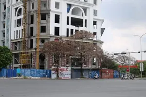 Công trình cao tầng mọc lên, nhiều cây xanh chết bất thường