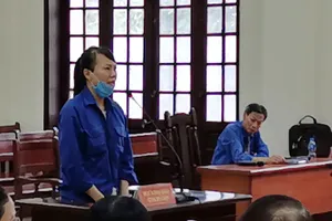 Vì sao ngân hàng muốn tòa xử các bị cáo tội lừa đảo?