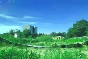 Hải Phòng mạnh tay với dự án động thổ rồi bỏ hoang 