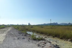 Cò đất thổi giá, gây sốt ảo tại TP Hạ Long 