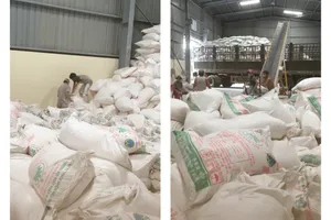 Phát hiện 100 tấn tinh bột sắn có dấu hiệu giả mạo nguồn gốc