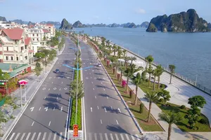 Đề nghị truy tố chủ doanh nghiệp bán hóa đơn khống để hợp thức hóa cát lậu 