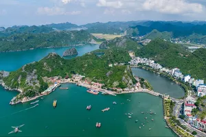 Di chuyển cảng cá Cát Bà để xây dựng cáp treo tuyến Phù Long - Cát Bà