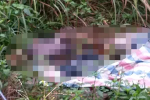 Hải Phòng: Phát hiện 2 thi thể đang phân hủy tại bãi cỏ hoang