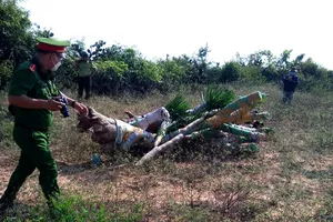 Ninh Thuận: Nhân viên Ban quản lý rừng bị lâm tặc đánh gãy xương hàm