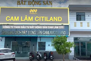 Khánh Hòa: 3 công ty bất động sản bị phạt 420 triệu đồng