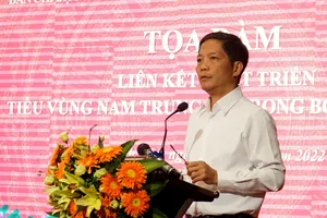 Cần ‘nhạc trưởng’ cho tiểu vùng Nam Trung bộ