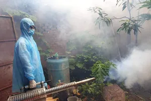 Khánh Hòa đã có hơn 4.200 ca sốt xuất huyết, 2 trẻ em tử vong