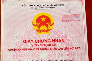 Truy tố nhóm tráo sổ hồng để lừa đảo ở Khánh Hòa