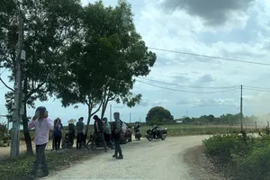 'Cò đất' tạo sốt ảo ở xã miền núi huyện Cam Lâm