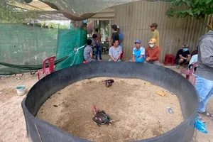 Công an triệt xóa 2 tụ điểm đá gà ở xã vùng biển trong dịp lễ