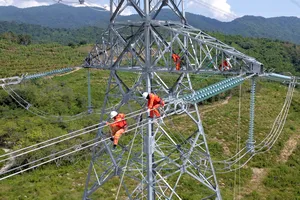 Diễn tập phòng chống thiên tai tại đường dây 500 kV Vân Phong - Thuận Nam