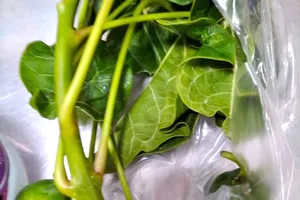 Ninh Thuận: 3 trẻ nhập viện cấp cứu sau khi ăn hạt dầu mè